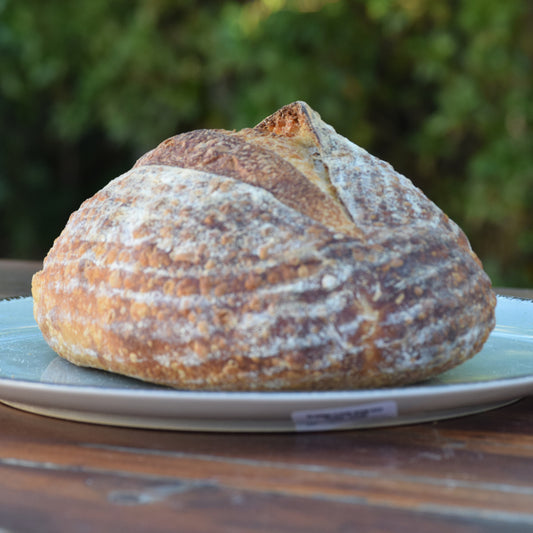Classic Sourdough Loaf