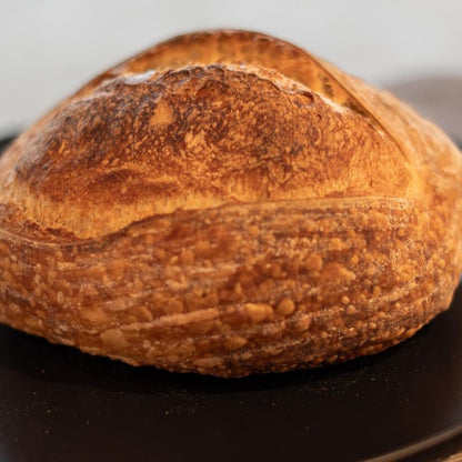 Classic Sourdough Loaf